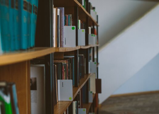 canva-photo-of-books-on-brown-wooden-shelves-1.jpg