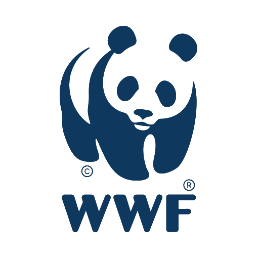 wnf