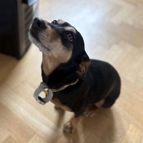 Image (12) Image 12 scaled e1776333900265